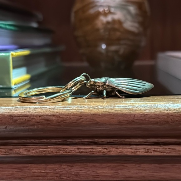 Detailed Solid Brass Cicada Keychain on Solid Brass Split Rings - Picture 3 of 10